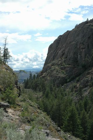 McLaughing Canyon before fire